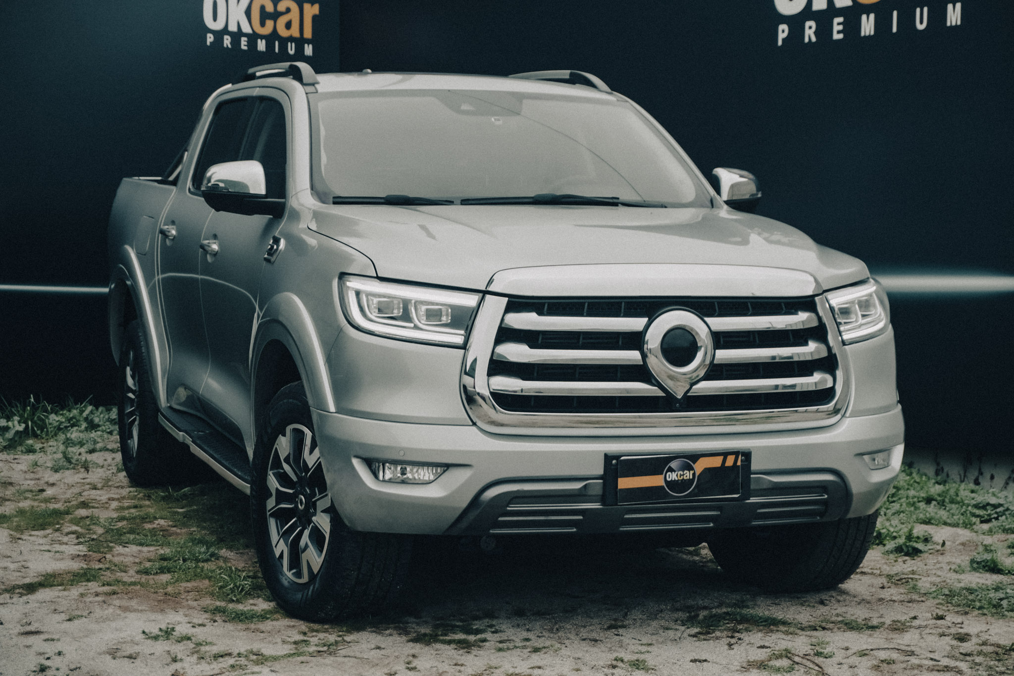 GREAT WALL POER PLUS  2023